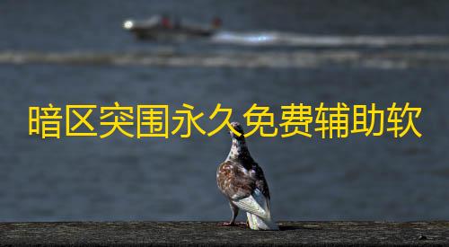 steam搜不到暗区突围暗区突围永久免费辅助软件，一键下载直装，提升游戏速度与画质